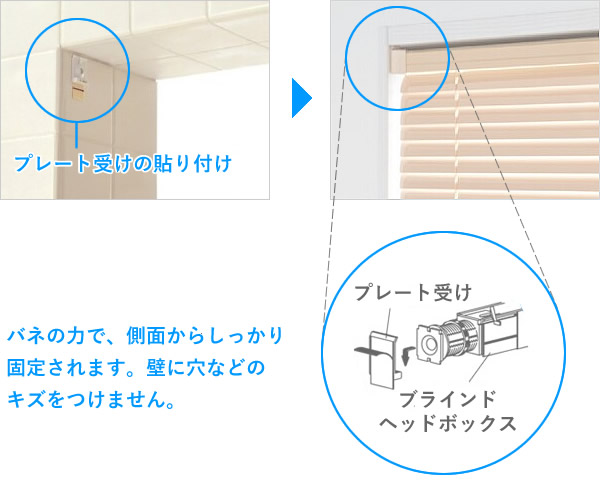 ノンビスイメージ