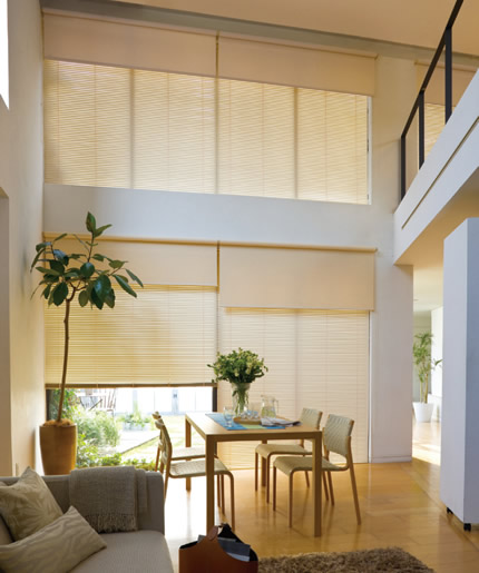 リビングブラインドイメージ